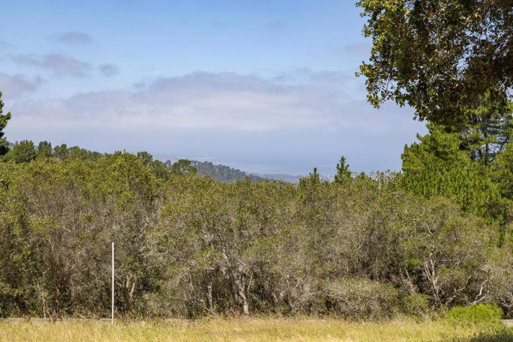 25520 Via Malpaso Property Photo 13