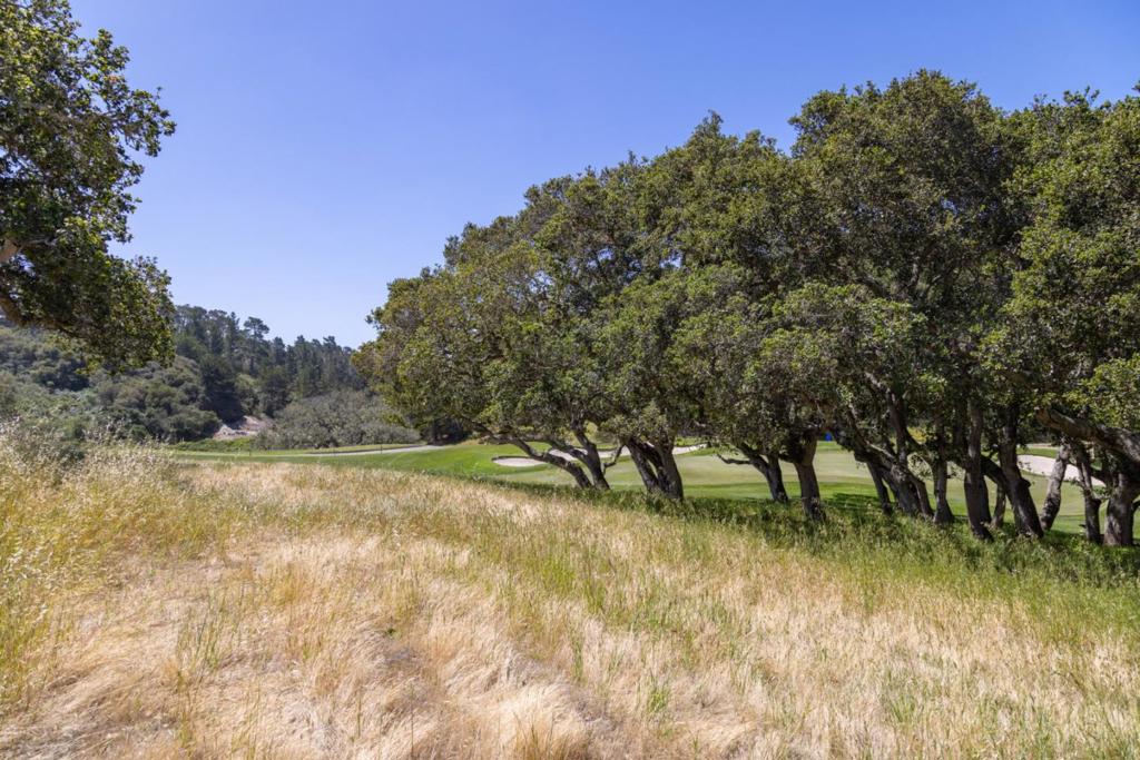 25520 Via Malpaso Property Photo 14
