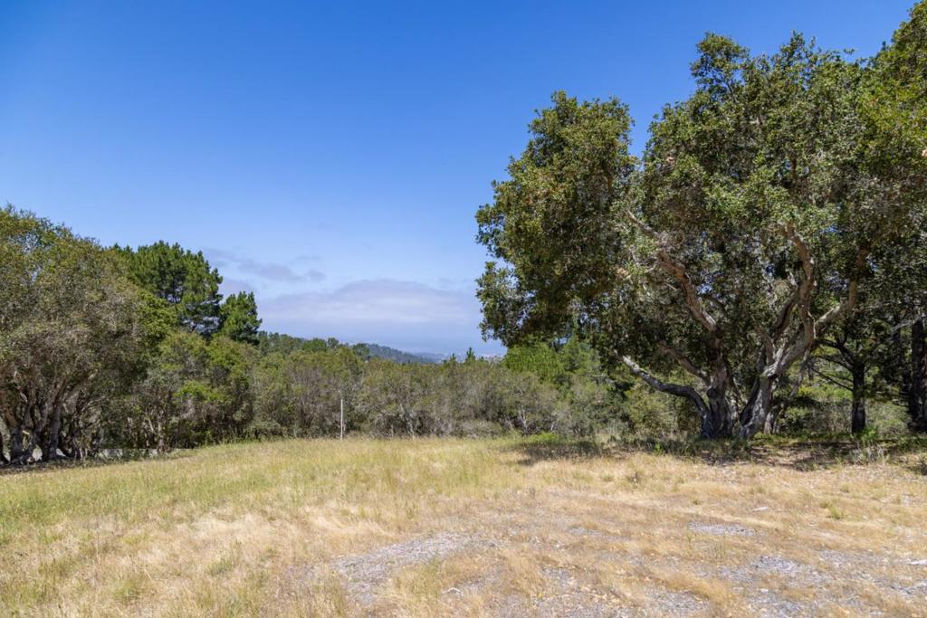 25520 Via Malpaso Property Photo 15