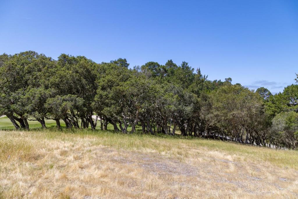 25520 Via Malpaso Property Photo 16