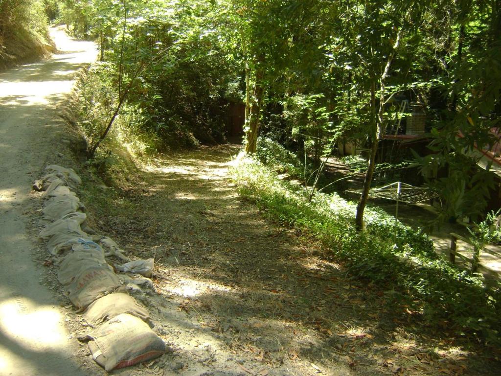 7150 Croy Road Property Photo 38