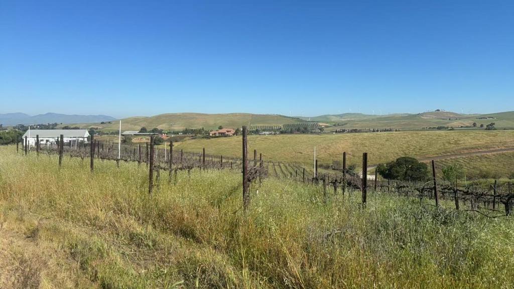 10011 Tesla Road Property Photo 3