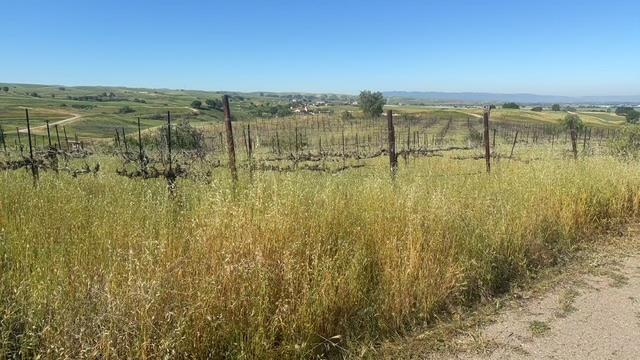 10011 Tesla Road Property Photo 4