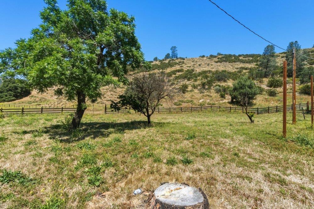 31341 Airline Highway Property Photo 26