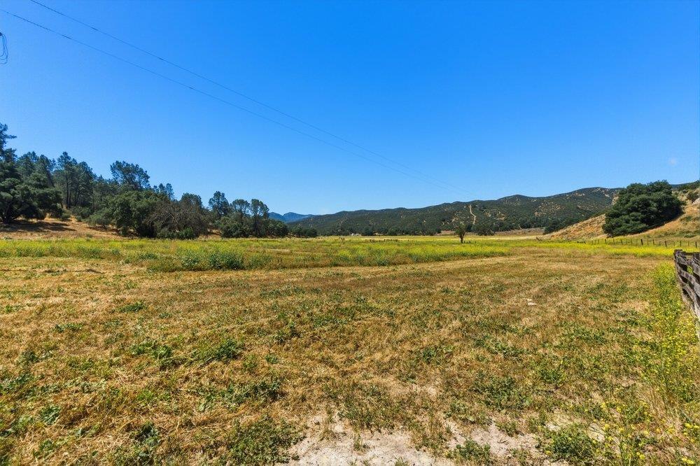 31341 Airline Highway Property Photo 30