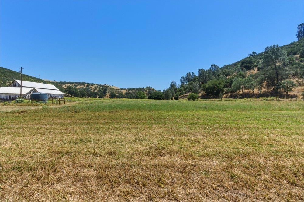 31341 Airline Highway Property Photo 33