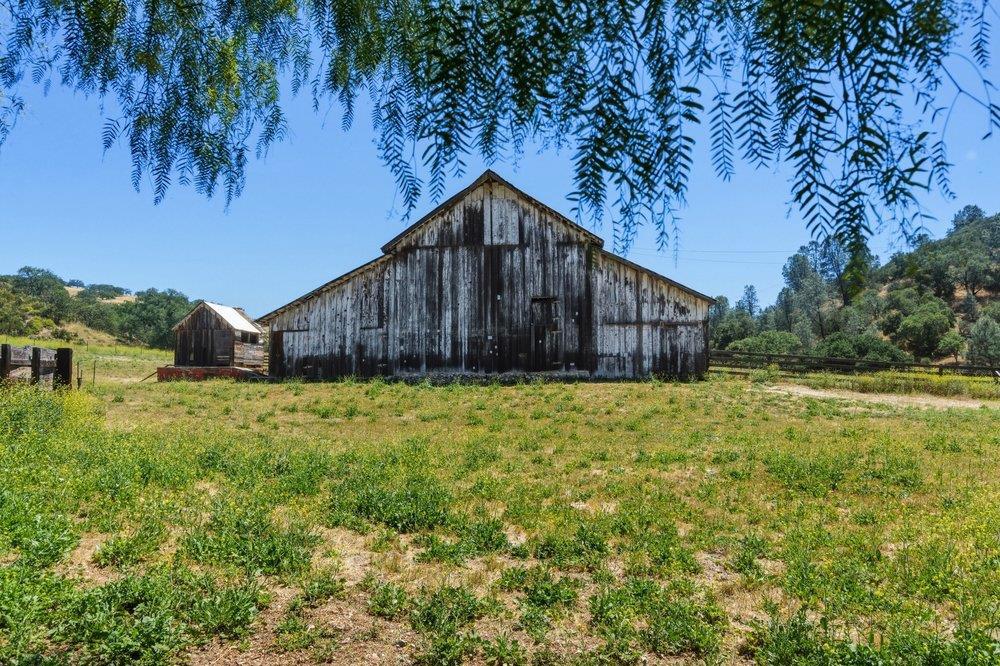 31341 Airline Highway Property Photo 62