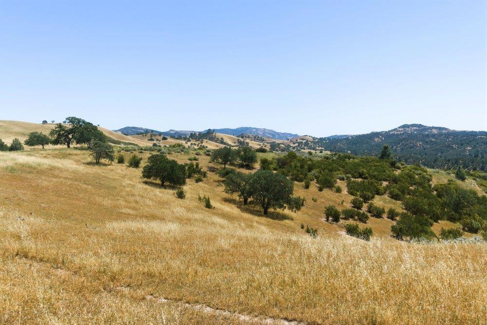 31341 Airline Highway Property Photo 72