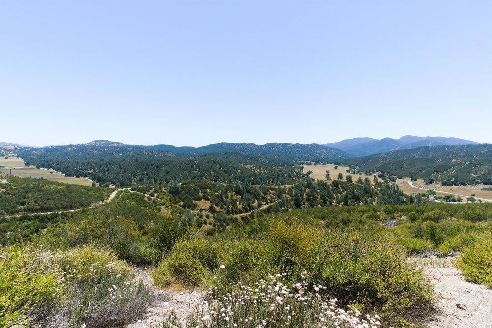 31341 Airline Highway Property Photo 74