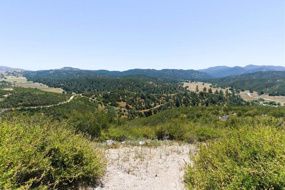 31341 Airline Highway Property Photo 75
