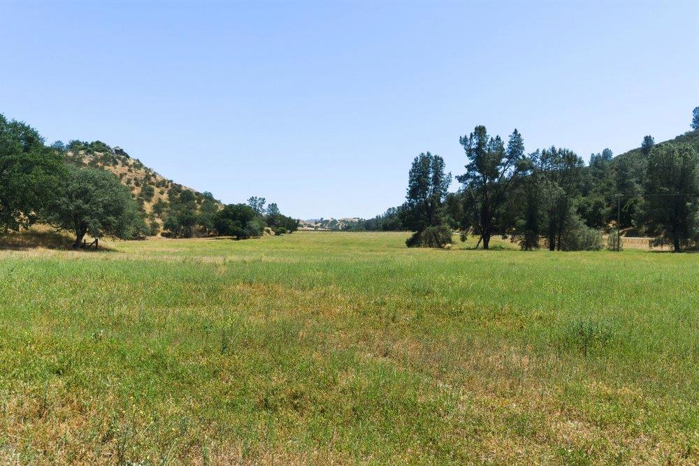 31341 Airline Highway Property Photo 80