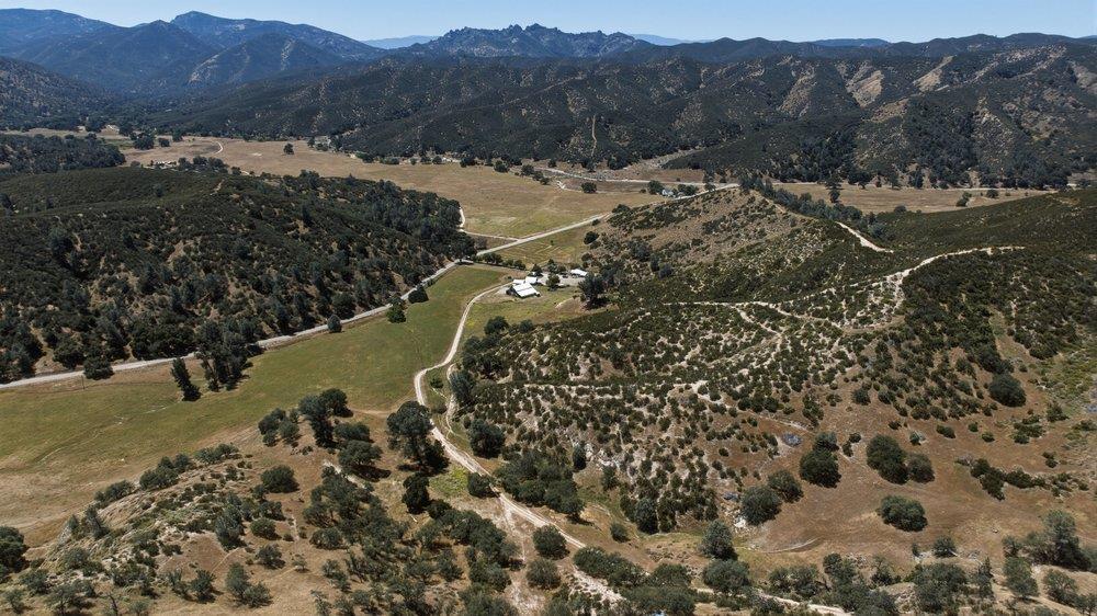 31341 Airline Highway Property Photo 92