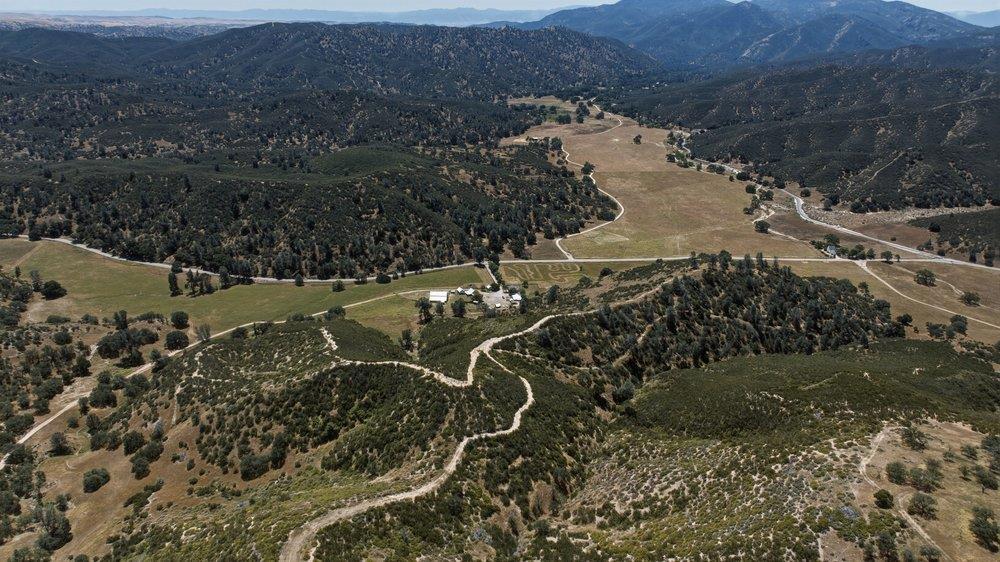 31341 Airline Highway Property Photo 93