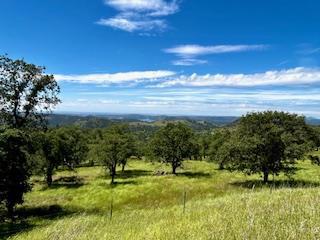 15169 Moccasin Ranch Road Property Photo 13