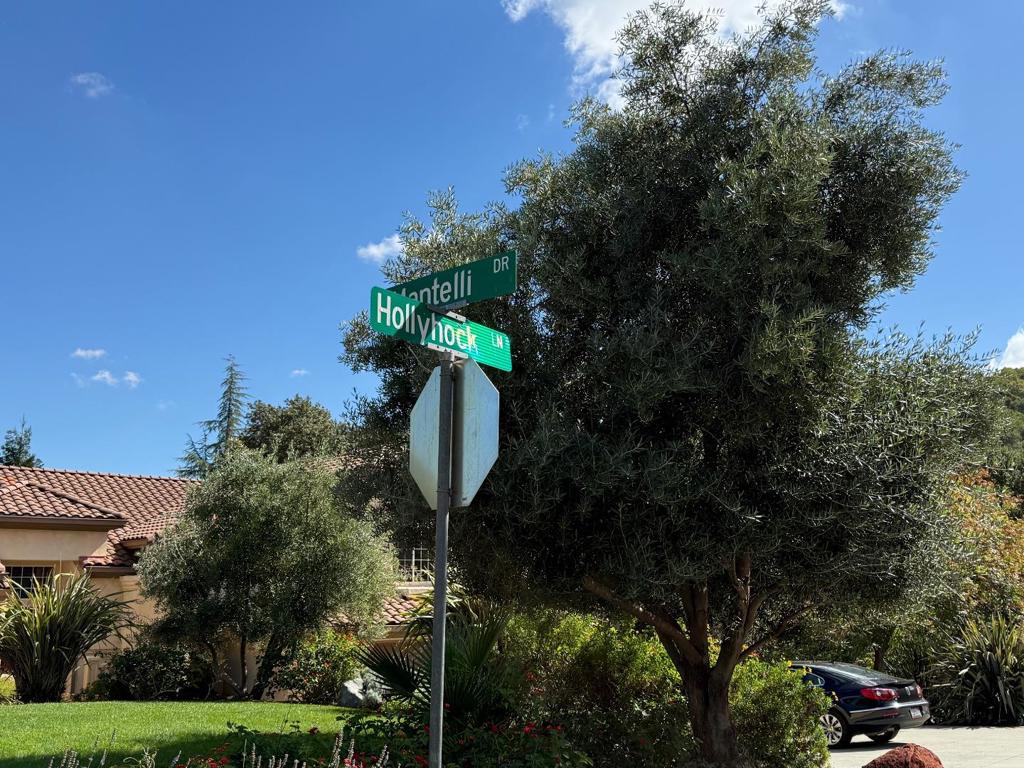 1920 Mantelli Drive Property Photo 2