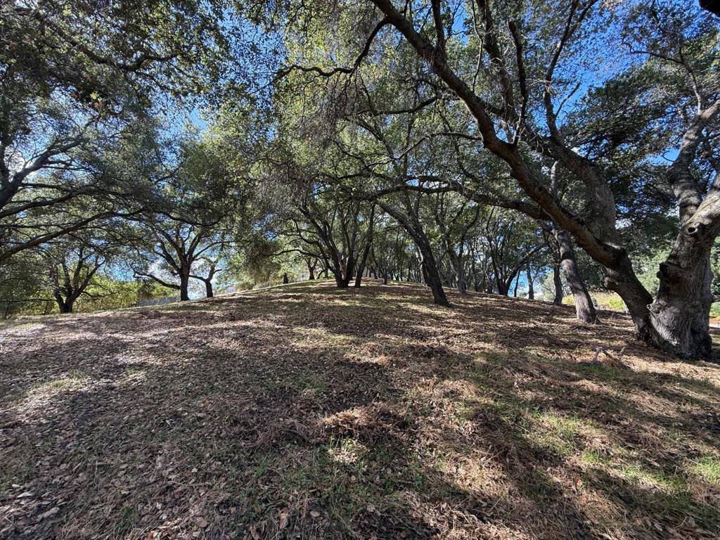 1920 Mantelli Drive Property Photo 7