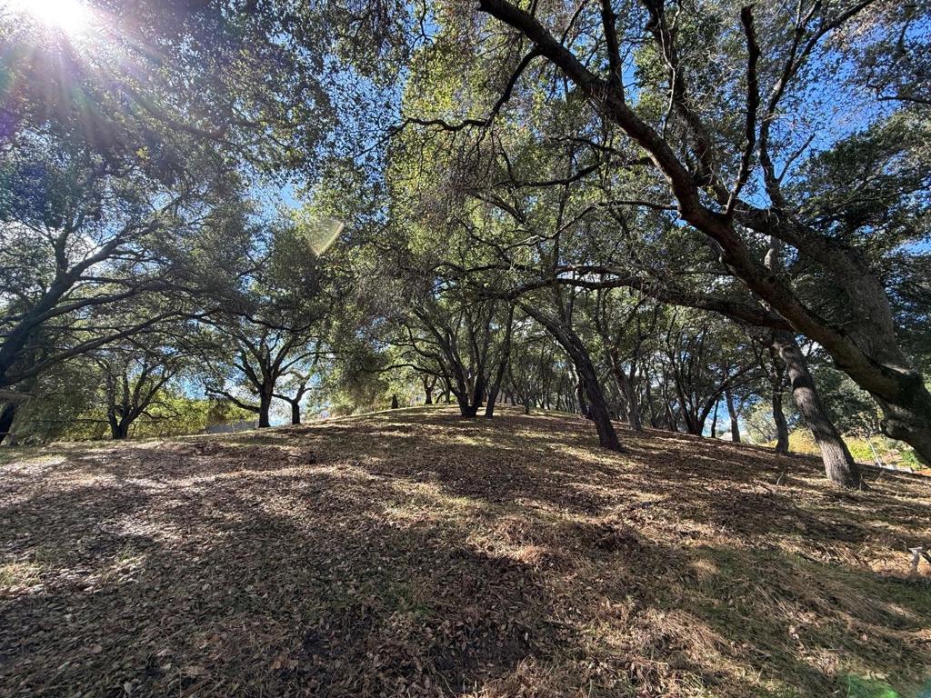 1920 Mantelli Drive Property Photo 9