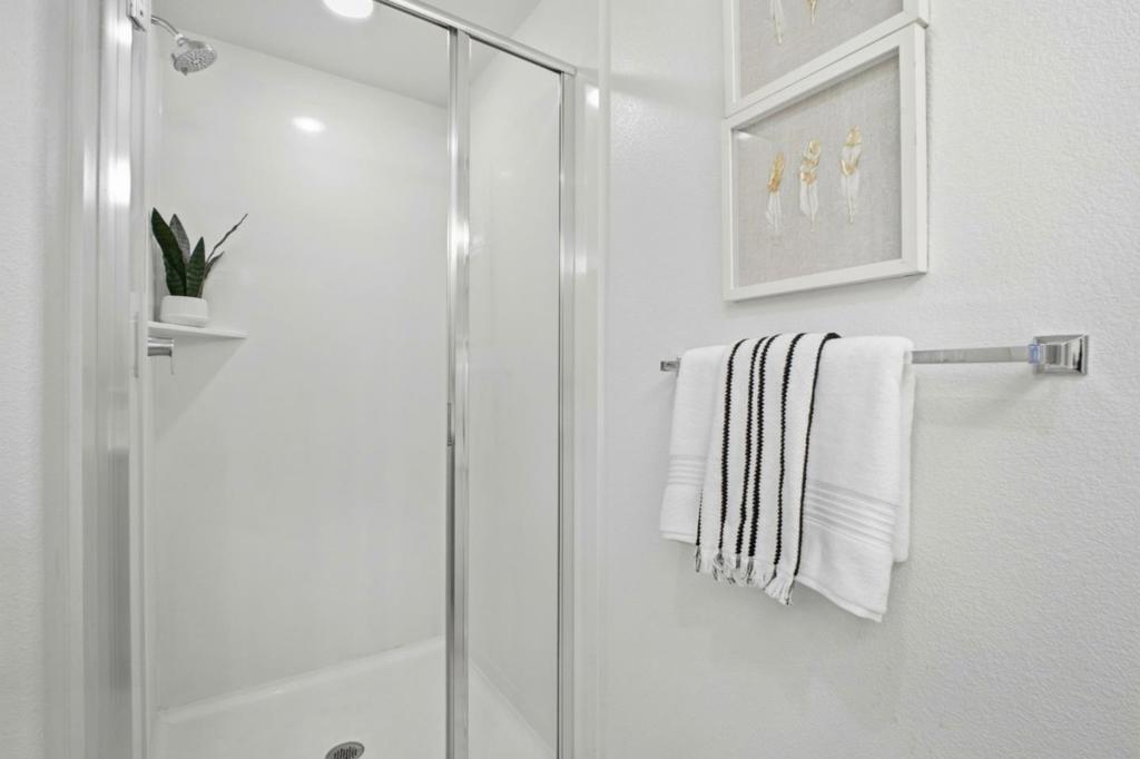 385 Line Street Property Photo 25