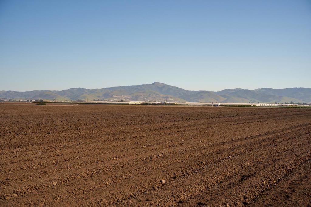 ML82047436 Property Photo 4