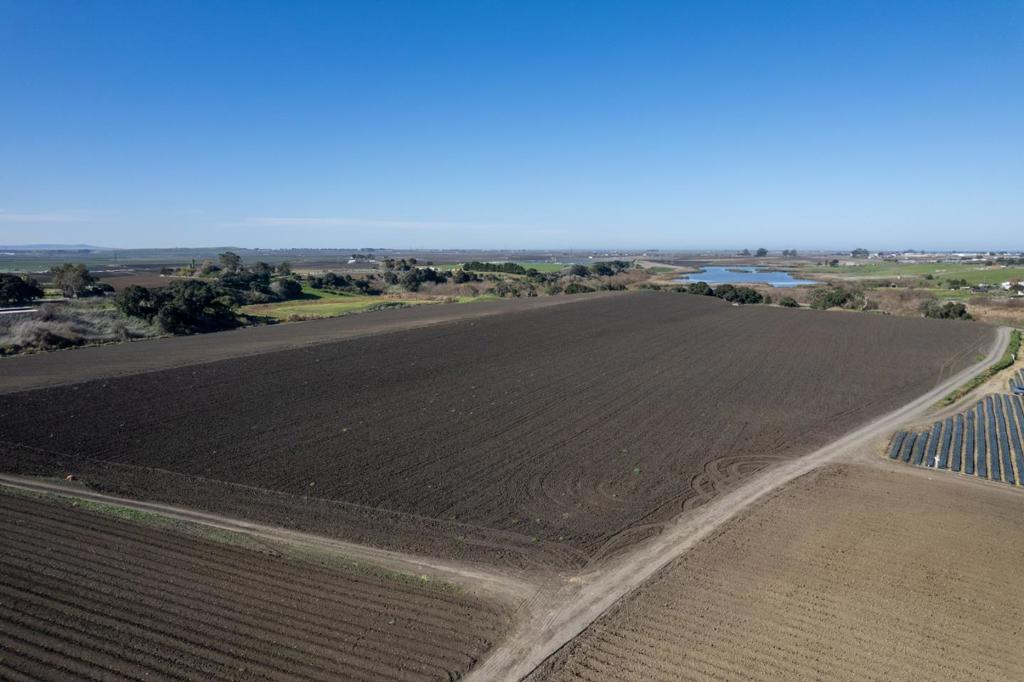 ML82047436 Property Photo 11
