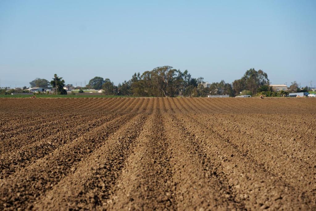 ML82047436 Property Photo 18