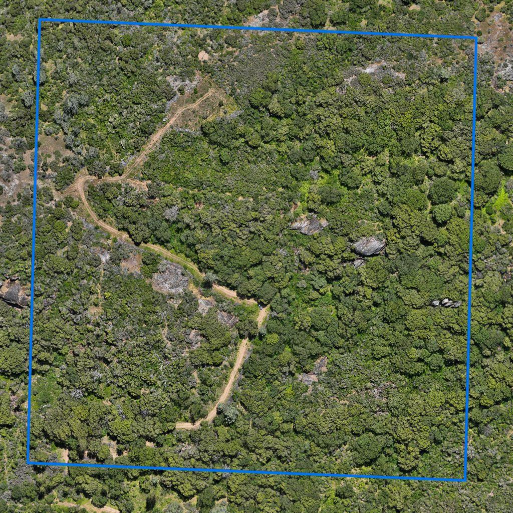 0 Highway 41 Property Photo 9