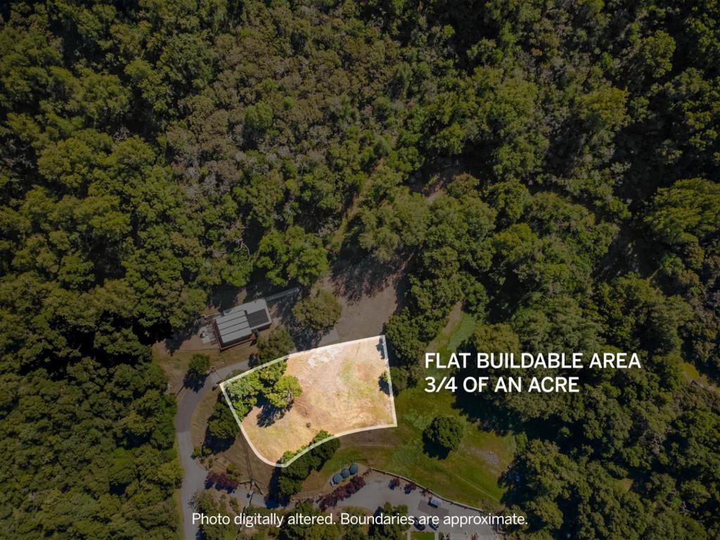 19751 Hicks Road Property Photo 5