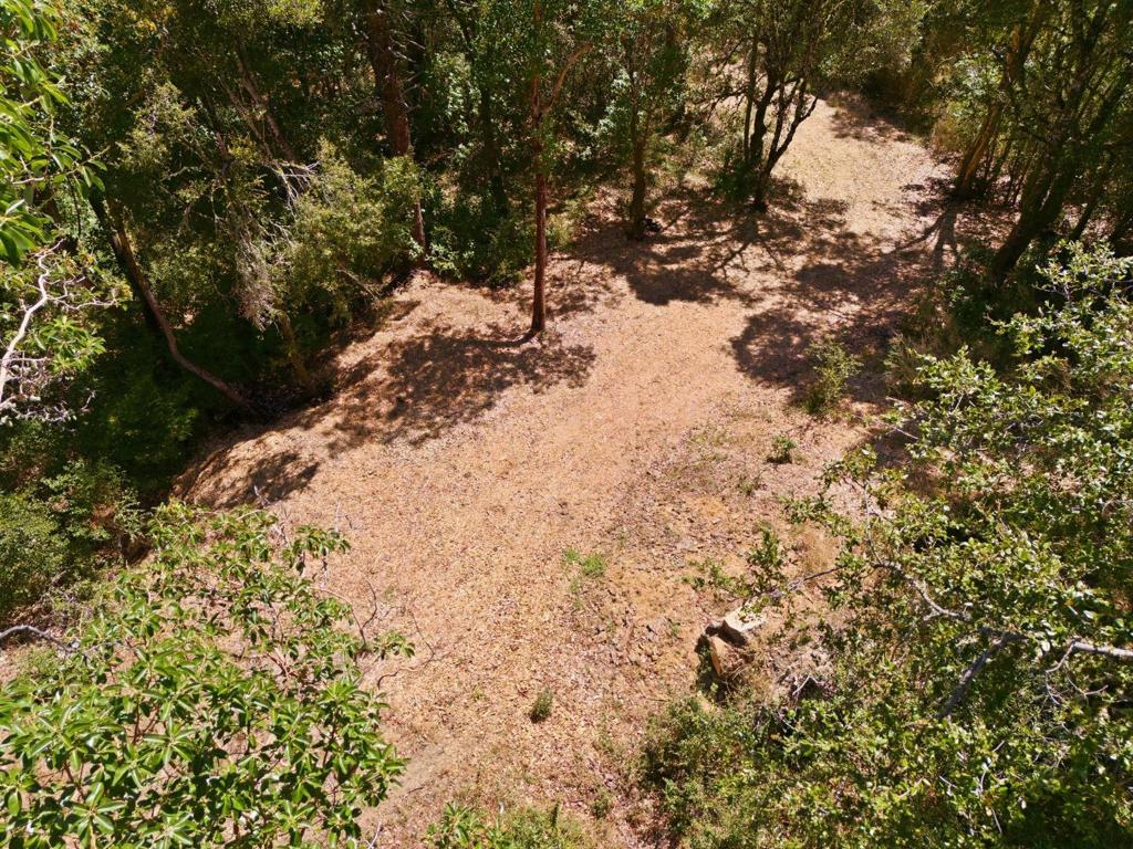 0 Page Mill Road Property Photo 12