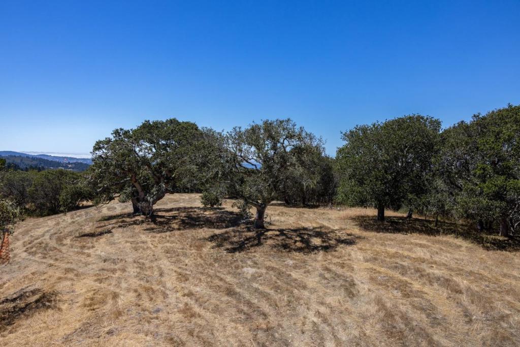 8225 Carina Property Photo 5