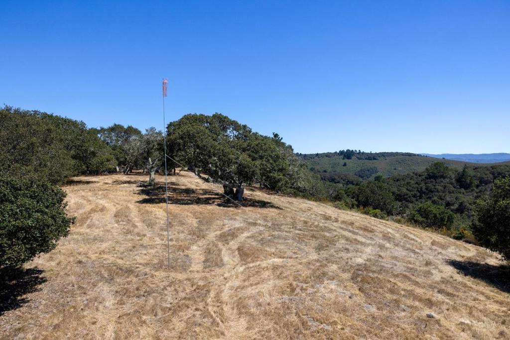 8225 Carina Property Photo 6