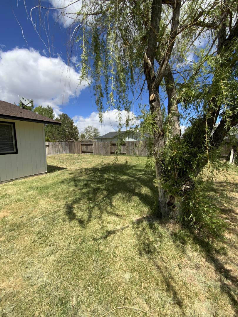 709950 Willow Street Property Photo 34