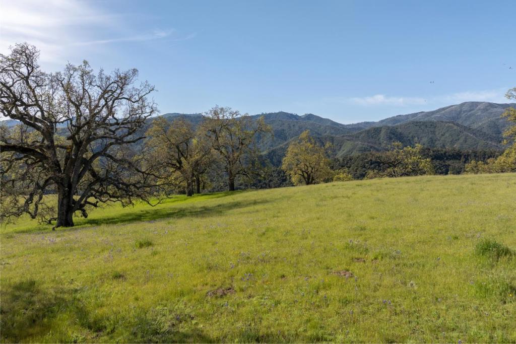 16 Long Ridge Trail (lot 233) Property Photo 3
