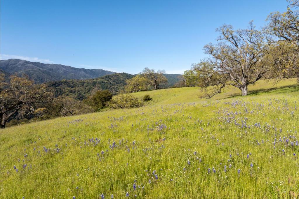 16 Long Ridge Trail (lot 233) Property Photo 9