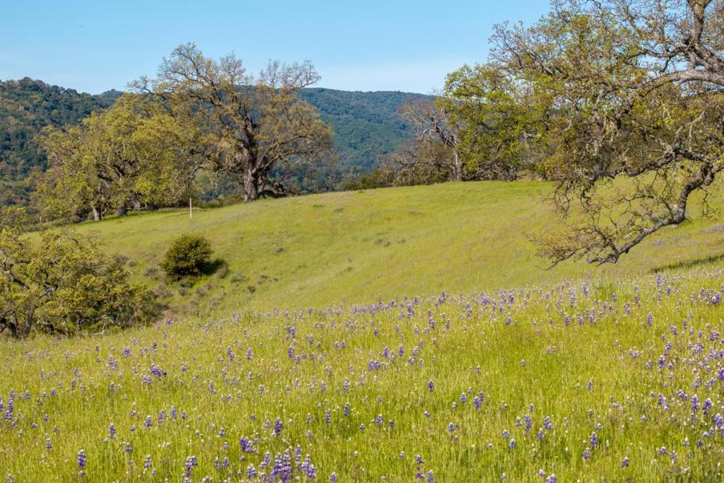 16 Long Ridge Trail (lot 233) Property Photo 10
