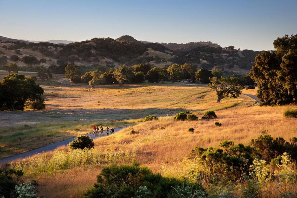 16 Long Ridge Trail (lot 233) Property Photo 15