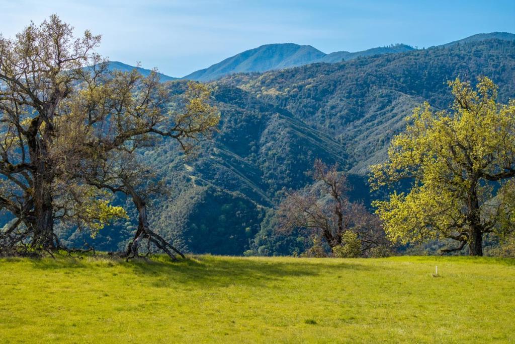 14 Long Ridge Trail (lot 232) Property Photo 2