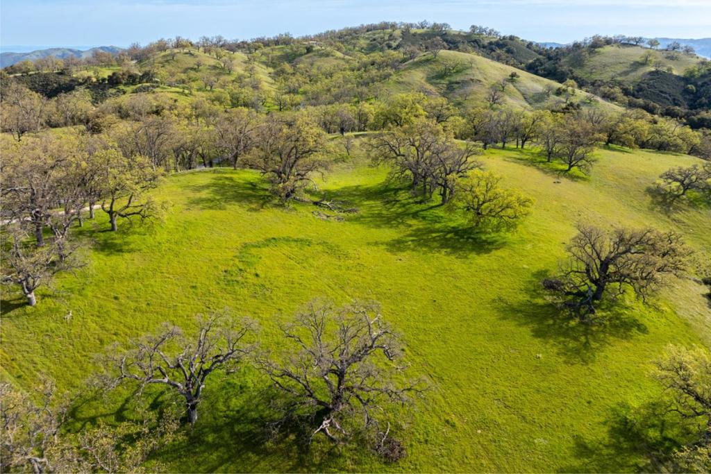 14 Long Ridge Trail (lot 232) Property Photo 4