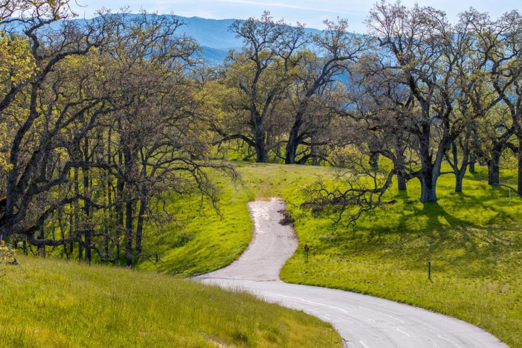 14 Long Ridge Trail (lot 232) Property Photo 8