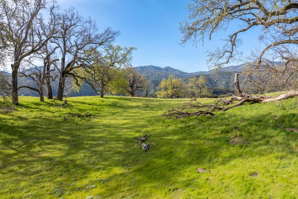 14 Long Ridge Trail (lot 232) Property Photo 11