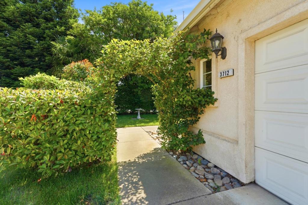 3712 Bold Ruler Court Property Photo 6