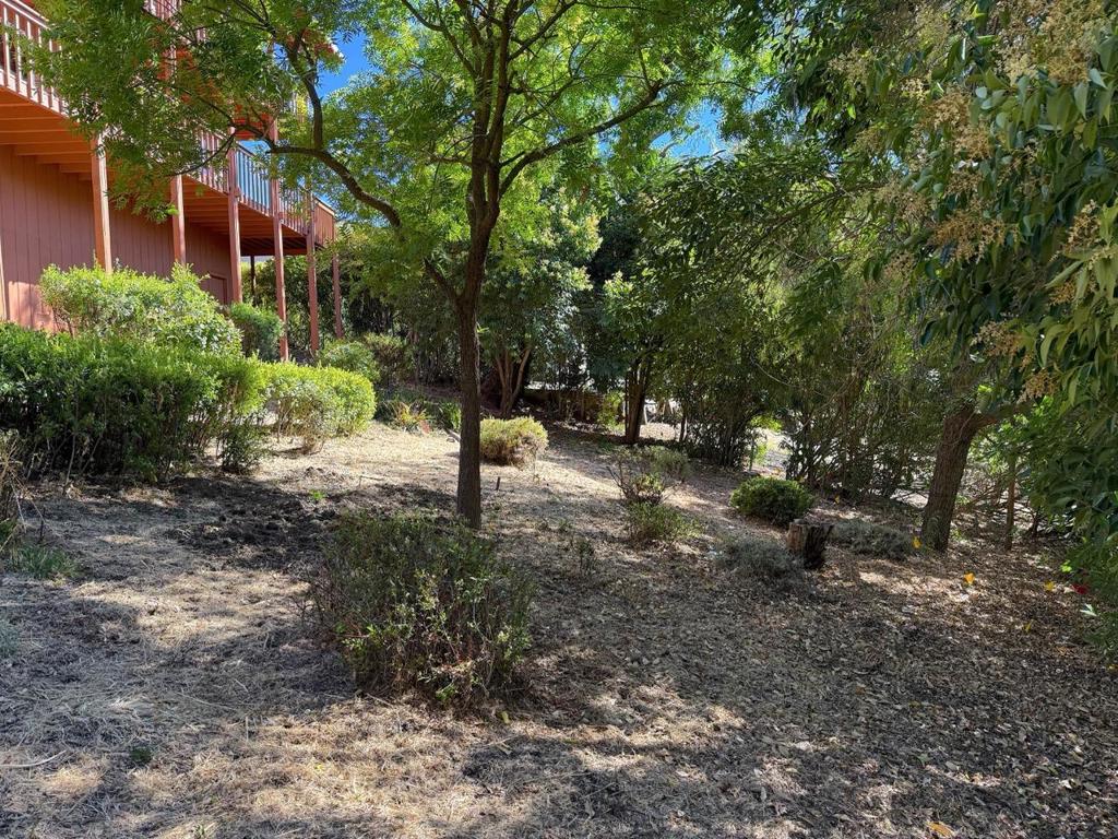 3175 Oak Leaf Court Property Photo 48