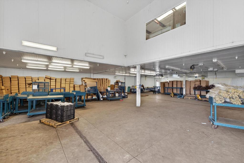 ML82048631 Property Photo 33