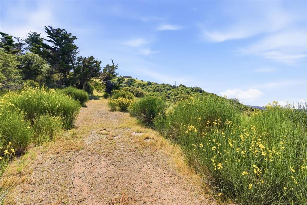 15880 Soda Springs Road Property Photo 31