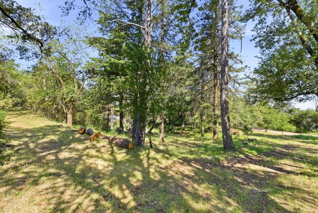 15880 Soda Springs Road Property Photo 35