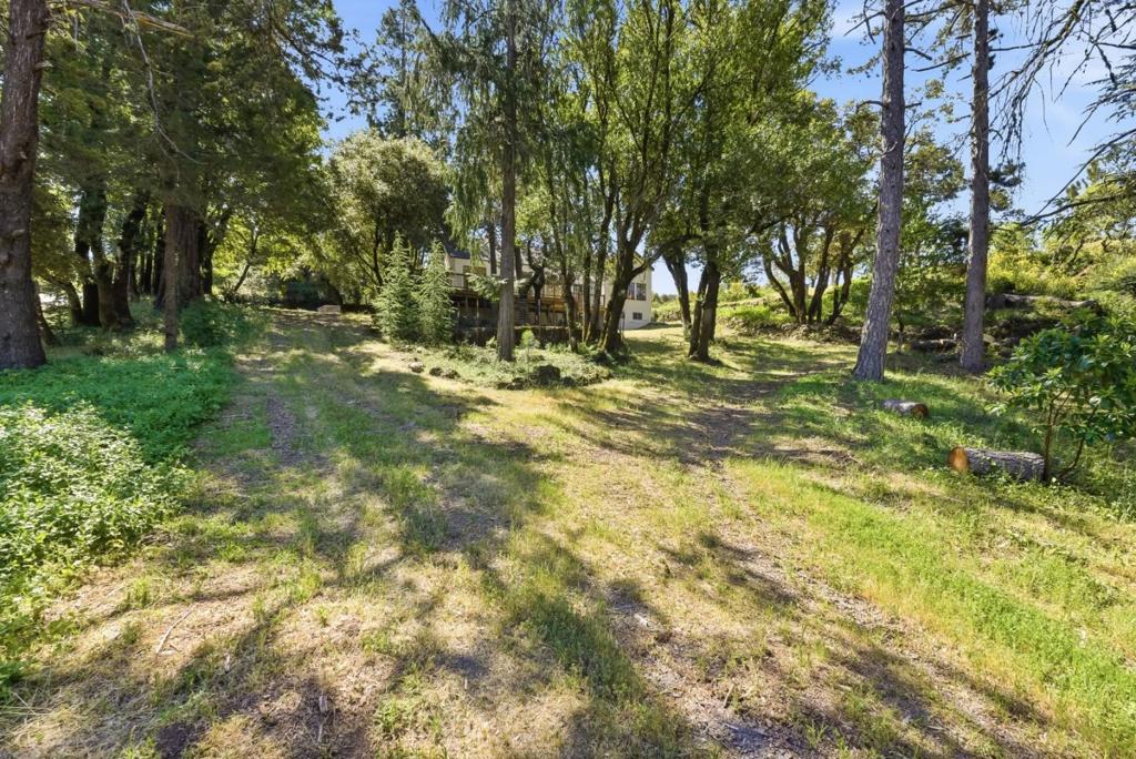 15880 Soda Springs Road Property Photo 36