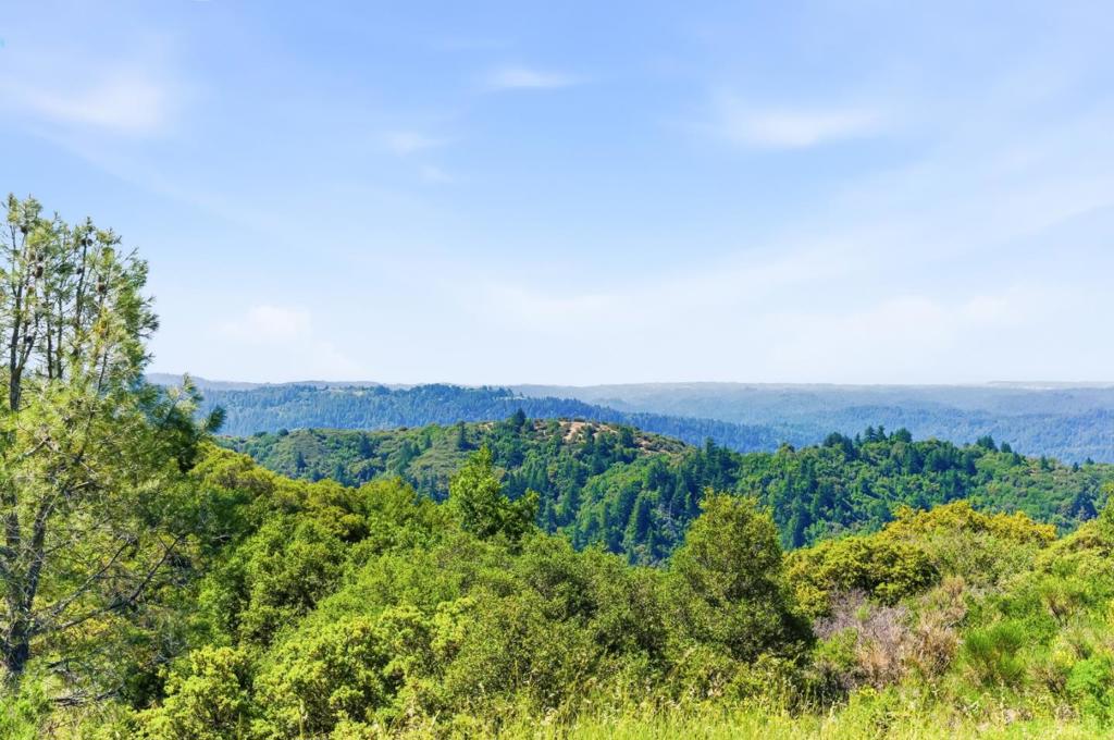 15880 Soda Springs Road Property Photo 39