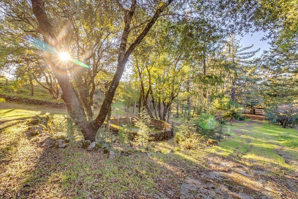 15880 Soda Springs Road Property Photo 42