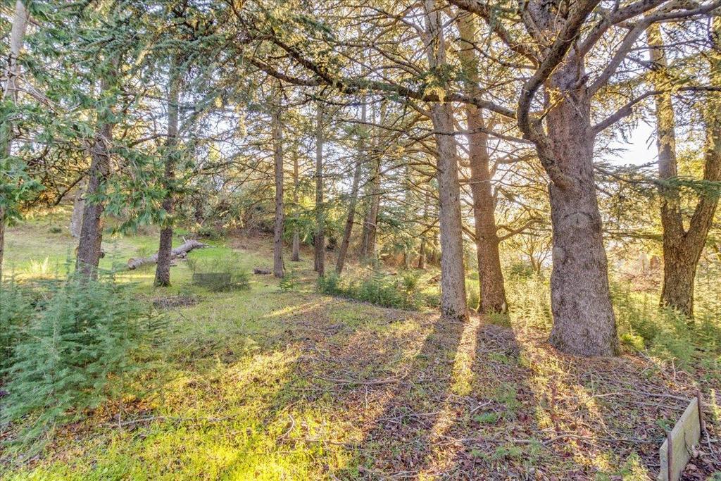 15880 Soda Springs Road Property Photo 44