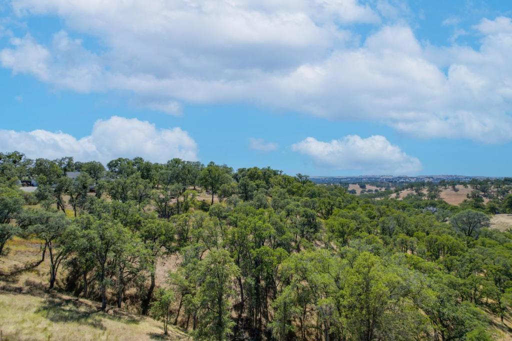 7242 Da Lee Road Property Photo 30
