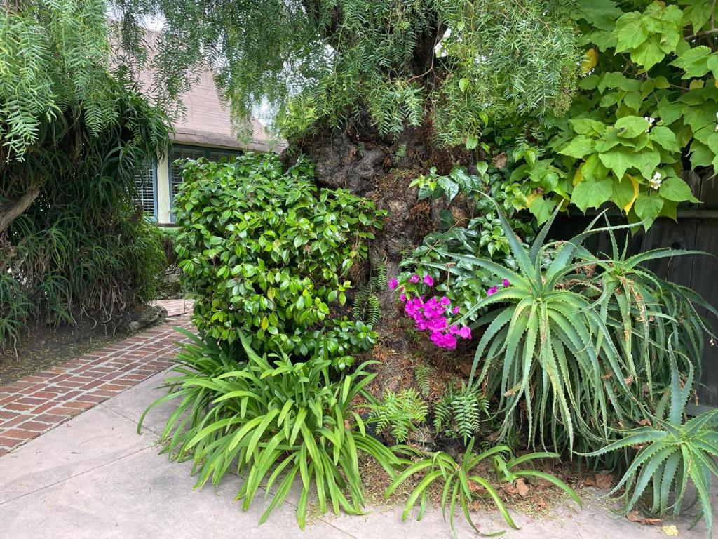 W Franklin Street Property Photo 24